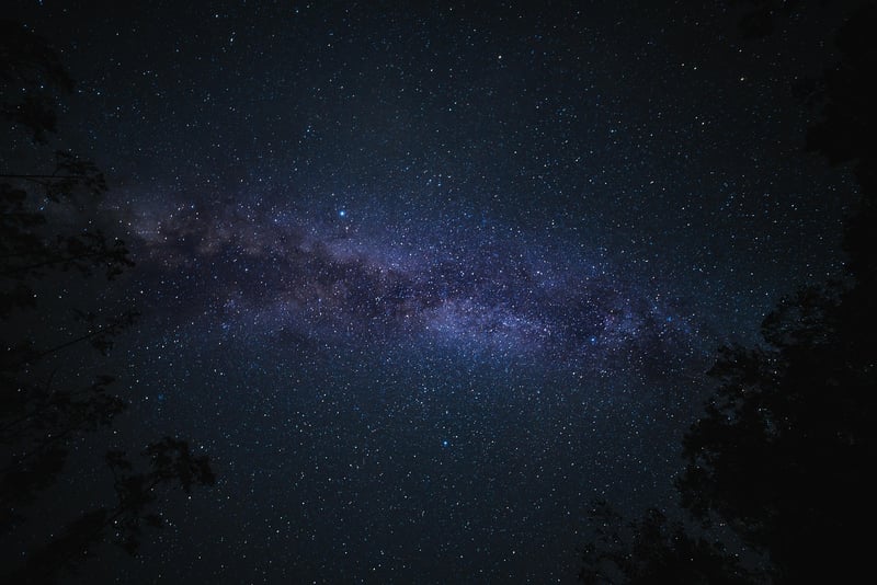 Stellar Feasts